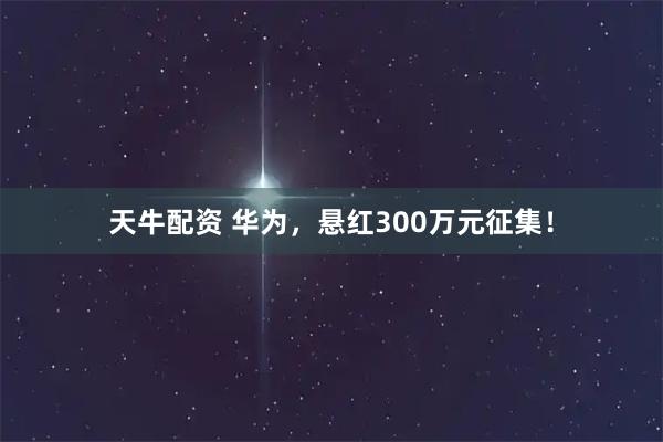 天牛配资 华为，悬红300万元征集！