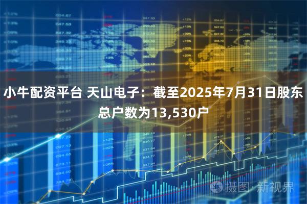 小牛配资平台 天山电子：截至2025年7月31日股东总户数为13,530户